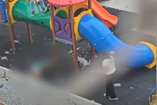 Imagem colorida com blur que mostra ataque de pitbulls a crianças em parquinho em São Paulo. - Metrópoles