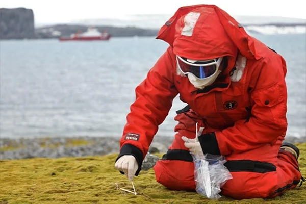 Fiocruz detecta fungo na Antártica
