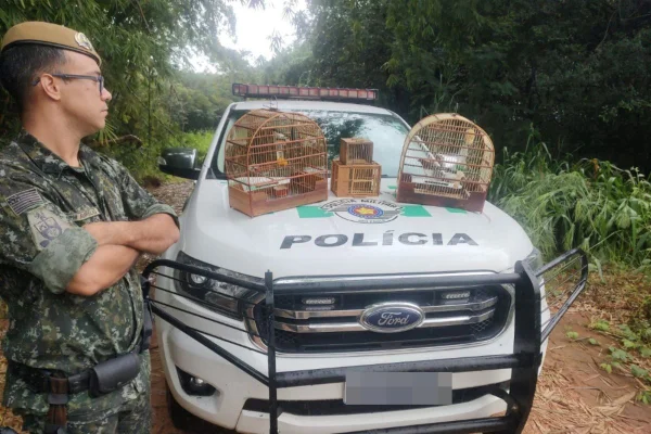 Bigodinho e azulão apreendidos em Lucélia (SP) - Metrópoles