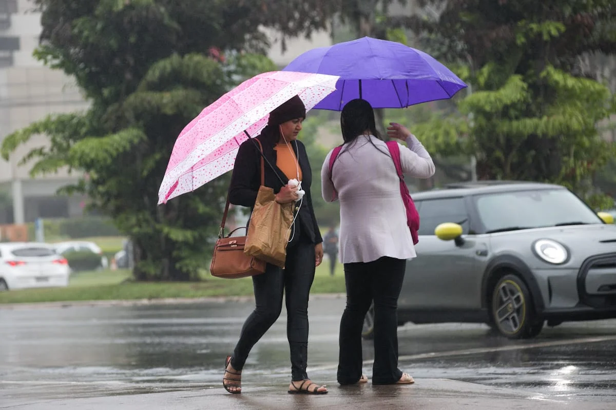 Clima: El Niño chega com frente fria, temporais e tempo seco