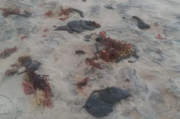óleo atinge praias da Paraíba
