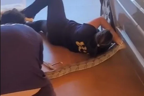 A imagem mostra duas pessoas resgatando uma cobra grande que está parcialmente sob um carro. Uma delas está deitada no chão, segurando a cabeça da cobra com as mãos, enquanto a outra ajuda no resgate. A cena acontece em um ambiente fechado, com piso liso e iluminação natural - Metrópoles