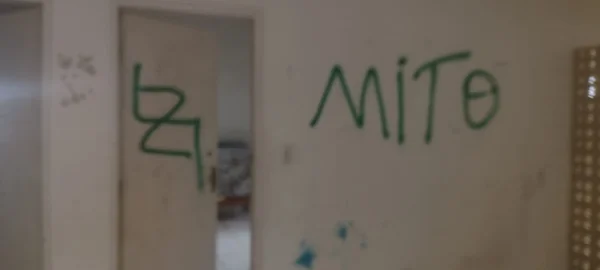 Pichações com símbolos nazistas e palavras de ordem em apoio ao presidente Bolsonaro em tinta verde, em centro do MST. O local foi incendiado em Caruaru, Pernambuco - Metrópoles