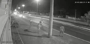 As ações ocorreram durante a noite As ações ocorreram durante a noite