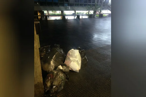 Antes de desocuparem reitoria da UnB, alunos fazem mutirão de faxina