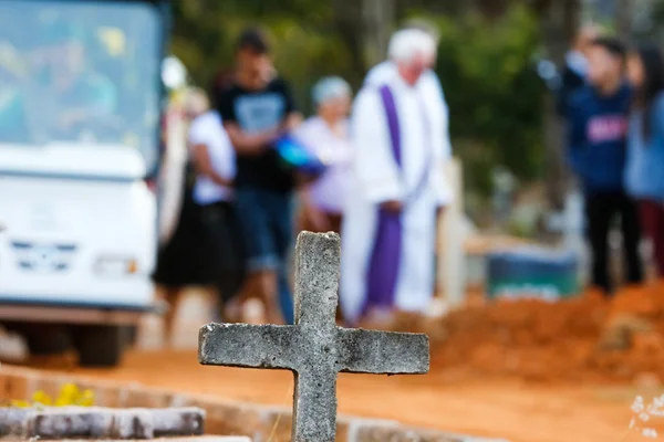 DF confirma a primeira morte por febre amarela em 2017