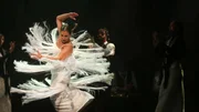 Música para tus Ojos - Vidas em Película