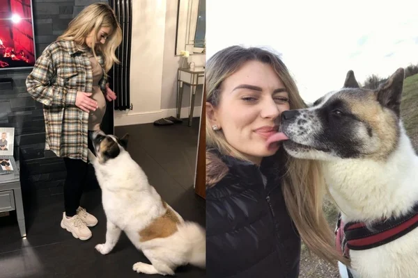 mulher grávida com cachorro