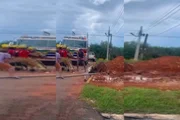 Segundo moradores da região, o animal "não viu" que o buraco havia sido coberto por terra e caiu ao passar em cima dele Segundo moradores da região, o animal "não viu" que o buraco havia sido coberto por terra e caiu ao passar em cima dele