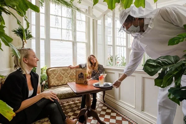 Mr Fogg's House of Botanicals