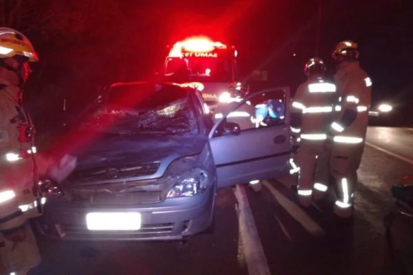 Motorista fica ferido após atropelar vaca em rodovia do DF