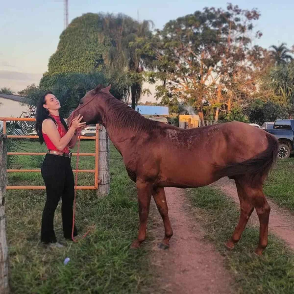 imagem colorida. Raquel Cattani acariciando um cavalo