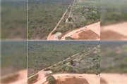 Árvores derrubadas e barracos erguidos: invasão ameaça área da Flona - imagem 5