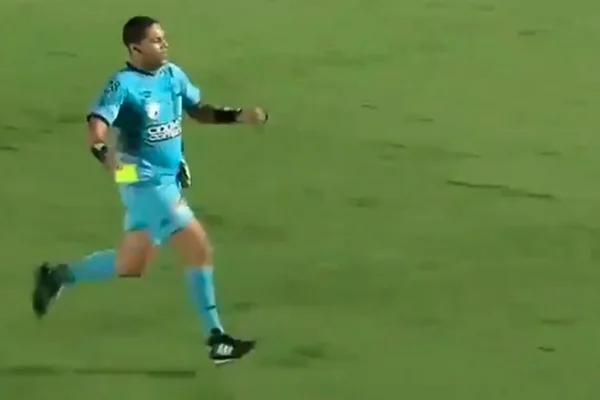 Árbitro Flávio Roberto Mineiro Ribeiro