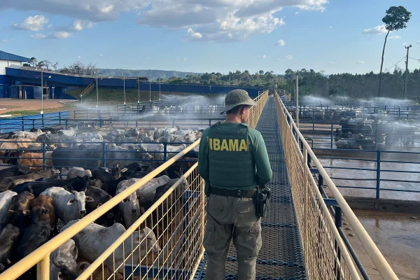 Operação Carne Fria Ibama