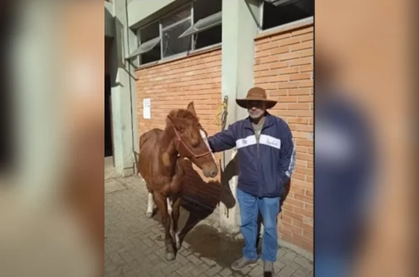 imagem colorida sergio padilha suposto dono cavalo caramelo