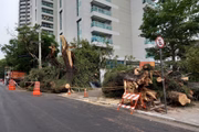 Estragos pós-apagão na Avenida Santo Amaro, zona sul de São Paulo