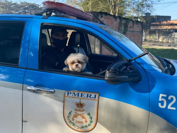 Cachorro levado em assalto é recuperado pela PM