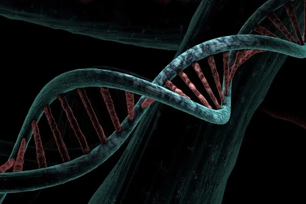 Imagem de um DNA