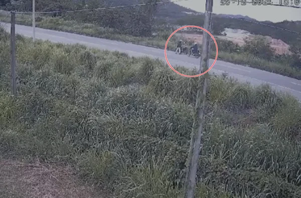 Imagem colorida mostra dois motoqueiros em zona de mata