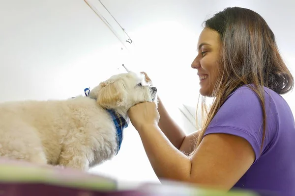Saúde pet: como dar remédio aos cães de maneira fácil