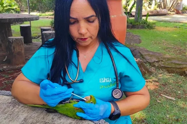 imagem colorida nucleo fauna de anapolis