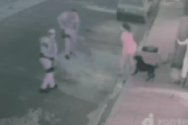 pm atira contra cachorro confusão interior