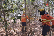 O incêndio na vegetação também foi extinguido