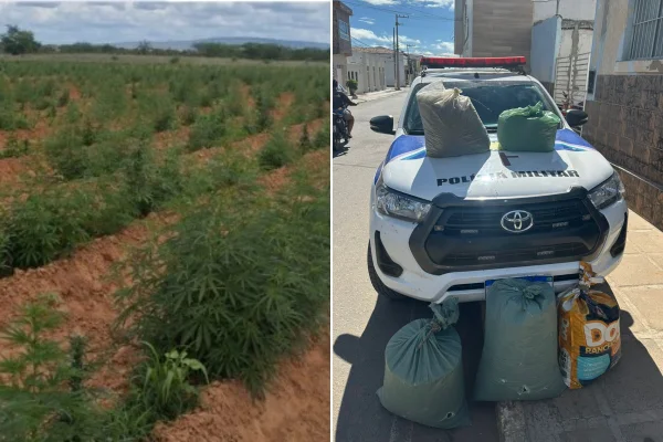 Imagem colorida mostra metadinha com plantão de maconha e carro da PM - Metrópoles