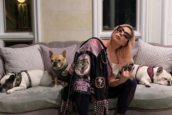 Homem que roubou cães de Lady Gaga é condenado a 21 anos de prisão