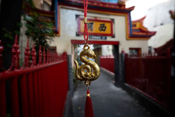 Ano-Novo Chinês