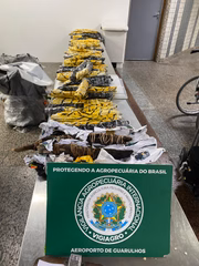 Operações são do Sistema de Vigilância Agropecuária Internacional