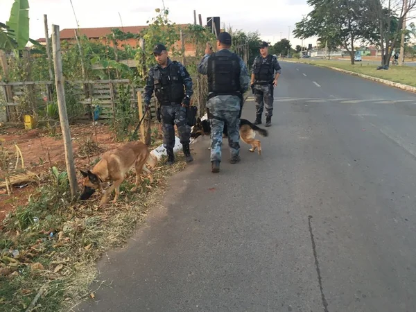 Vídeo. Cães da Polícia Militar encontram 3kg de maconha enterrados