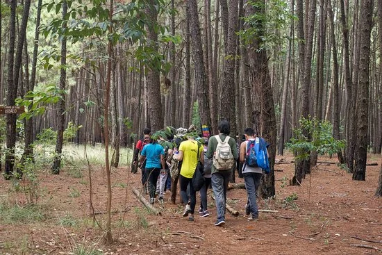 Associação posiciona-se contra proposta que reduz a Floresta Nacional