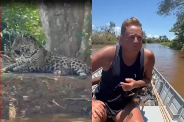 Imagem colorida, Vídeo. Leonardo se depara com onça em férias no Pantanal: "Oi, linda" - Metrópoles