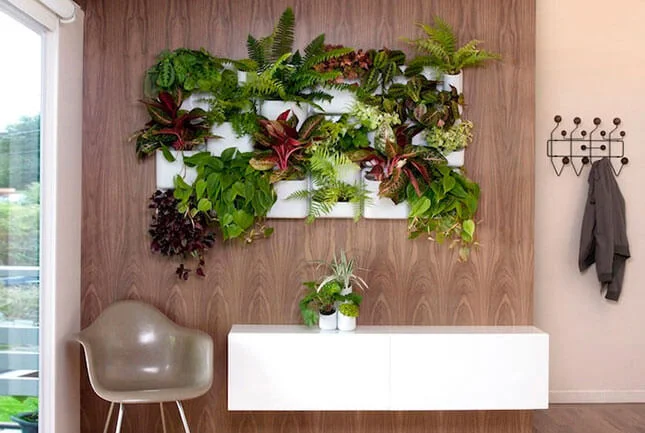 As plantas simulam um quadro na parede As plantas simulam um quadro na parede