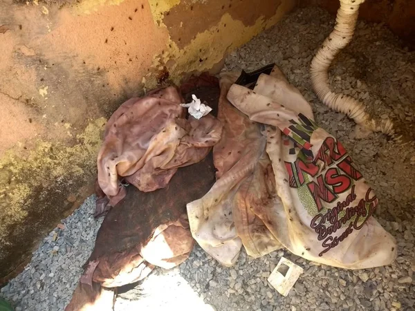 Sangue é encontrado na casa de suspeitos de esquartejar vigilante
