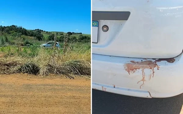 imagem colorida homem morte a facadas durante festa goias