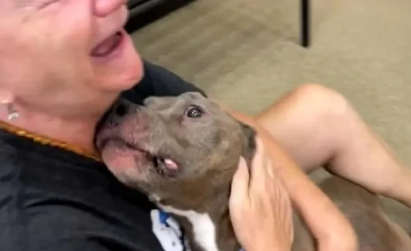 Mulher chora ao reencontrar cachorro