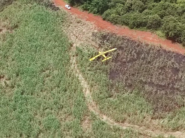 Avião cai em canavial em Minas Gerais