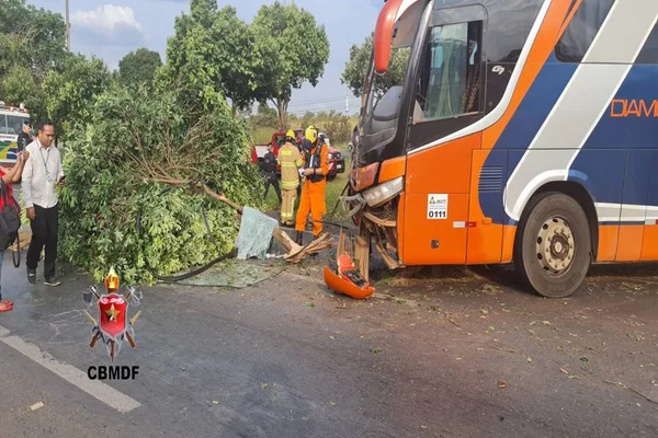 Ônibus com frente danificada após bater em árvore