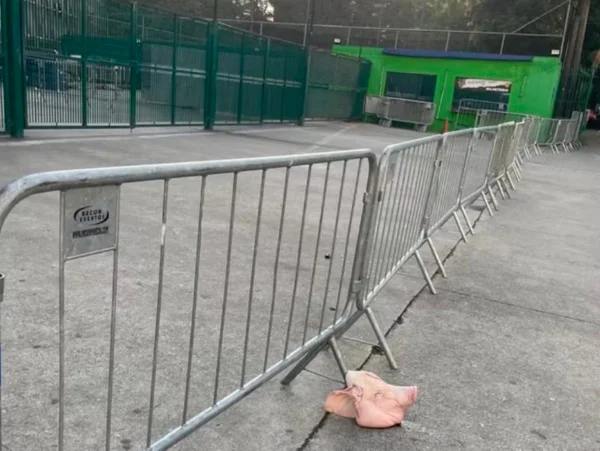 Imagem colorida de cabeça de porco na entrada do Allianz Parque- Metrópoles