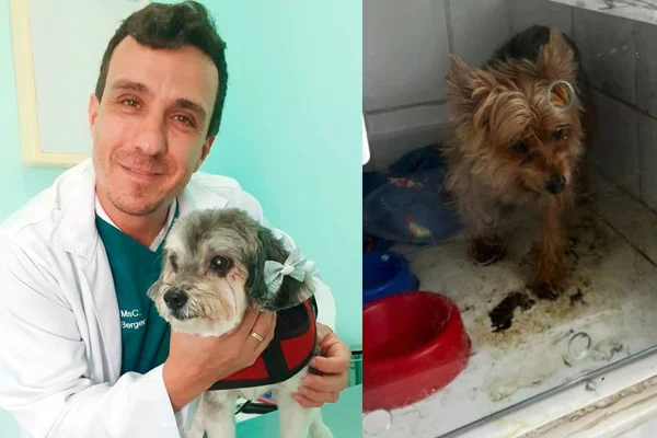 Veterinário acusado de maus tratos - Metrópoles