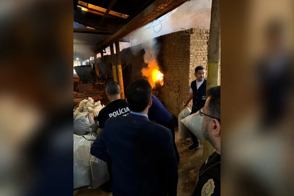 Maconha incinerada em Turmalina (MG)