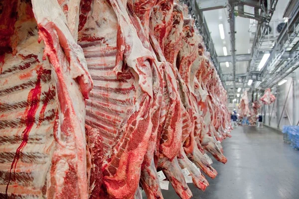 Exportação de carne bovina do brasil caiu 3,2% no primeiro semestre