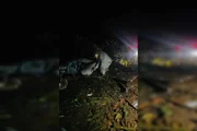 Avião de pequeno porte caiu, no início da noite desse sábado (13/6), na GO-174, sentido Caçu, próximo à Venda do Duca e à Escola do Rio Preto, na zona rural de Rio Verde (GO) Avião de pequeno porte caiu, no início da noite desse sábado (13/6), na GO-174, sentido Caçu, próximo à Venda do Duca e à Escola do Rio Preto, na zona rural de Rio Verde (GO)