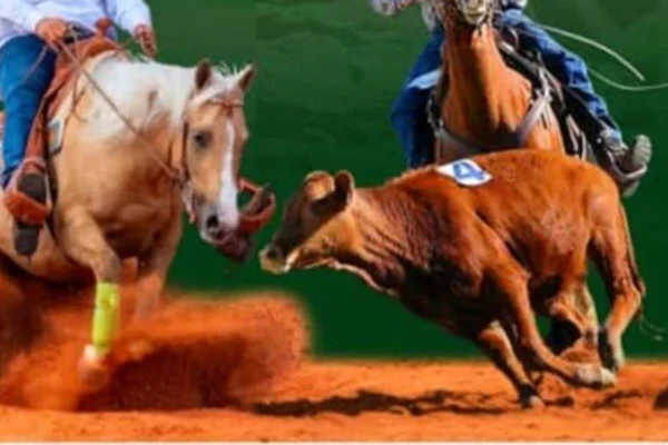 Rodeio
