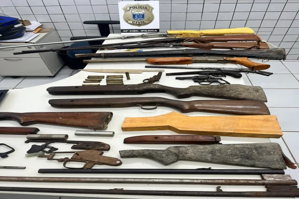 Imagem colorida, armas apreendidas pela Polícia Civil - Metrópoles