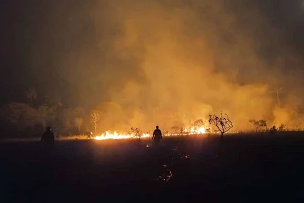 incêndio florestal atinge parque terra ronca, em goiás