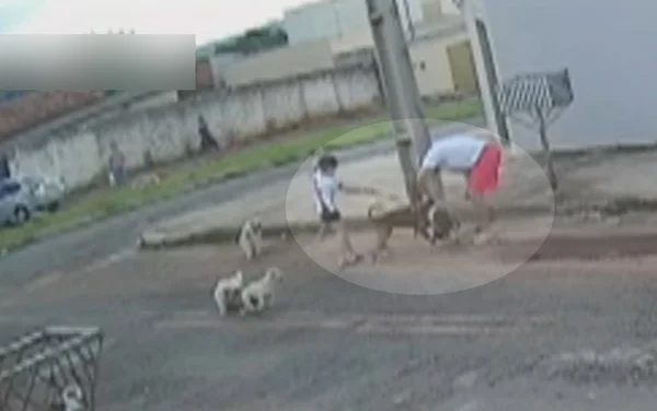 goias ataque cachorro